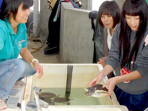 南紀串本で夏を満喫！串本海中公園の水族館飼育体験で新たな発見